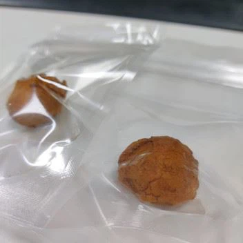 ox gallstone