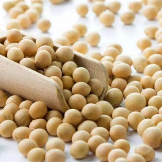 soybean extract powder