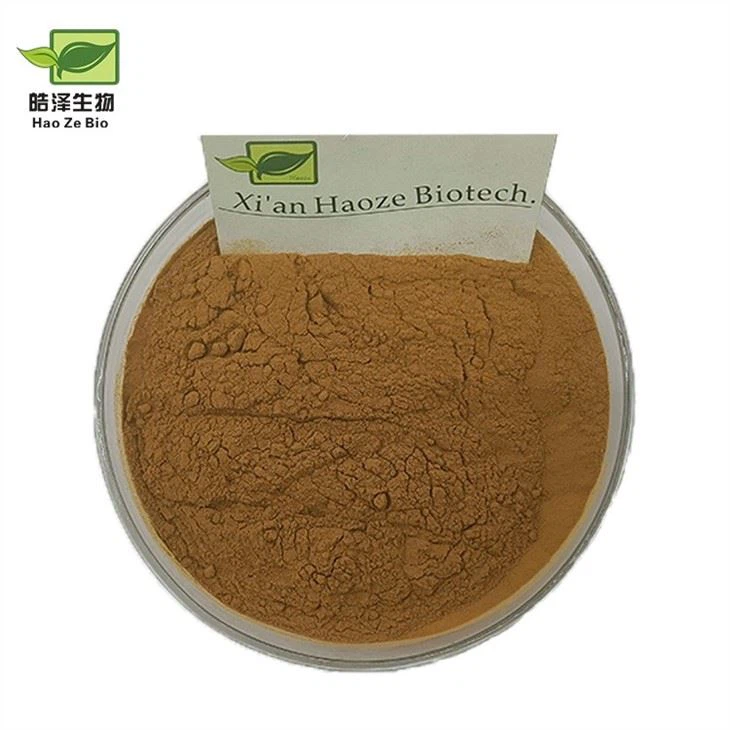 Verbena Extract Powder